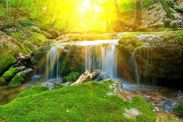 Pequena cachoeira bonita em um raio de sol — Fotografia de Stock