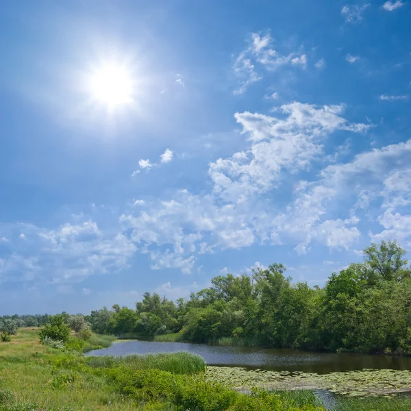 Rivier door een zonnige zomerdag — Stockfoto