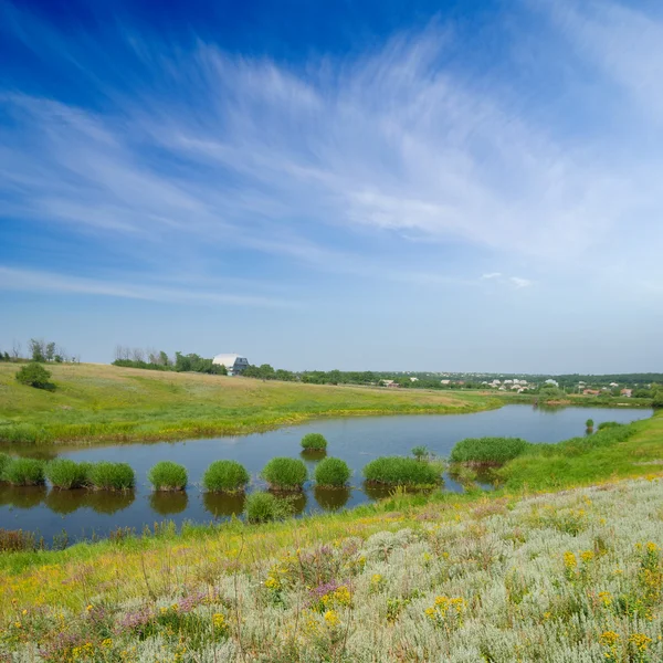 Summer rural scene — Stock Photo, Image