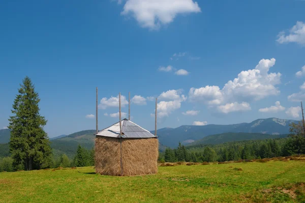 Haystack en un campo verde —  Fotos de Stock