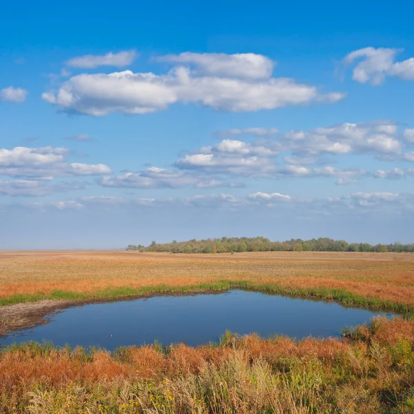 Small blue lake in a steppe — Stock Photo, Image