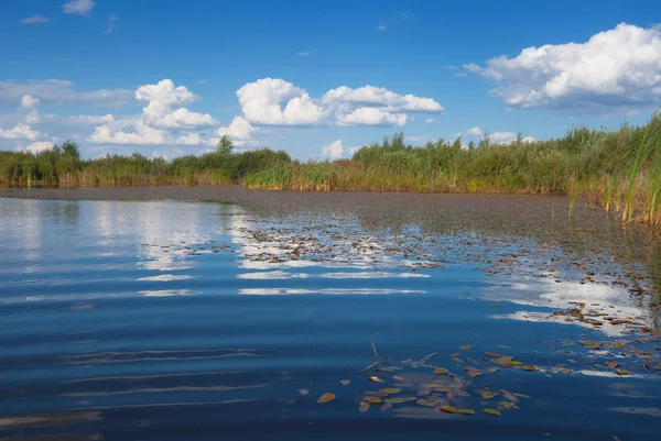 Влітку озеро сцени — стокове фото