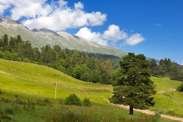 Green mountain landscape — Stock Photo, Image