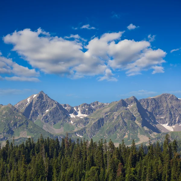 Kayalık dağ sahne — Stok fotoğraf