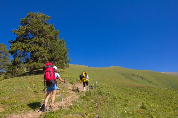 Randonneurs au milieu d'un champ vert — Photo