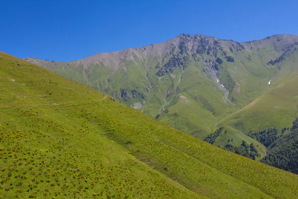 Verde escena de montaña — Foto de Stock