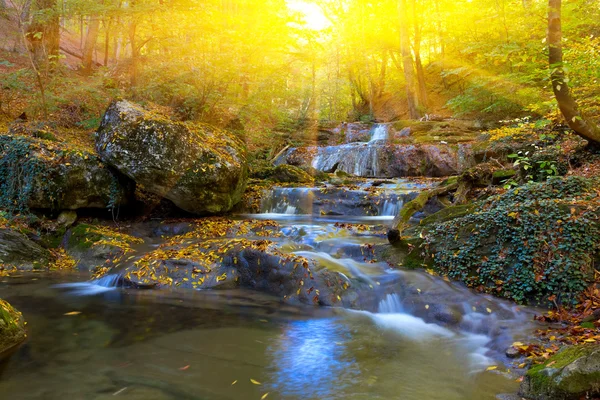 Mountain brook güneş ışınlarının içinde acele