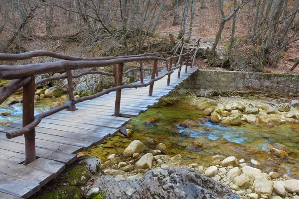 Pont en bois sur une rivière — Photo
