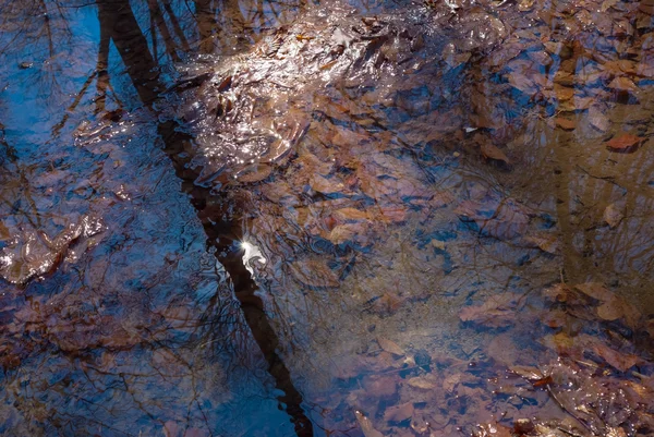 Reflexión en un charco de agua —  Fotos de Stock