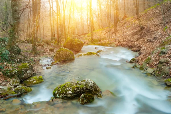 Våren river av en solig dag — Stockfoto