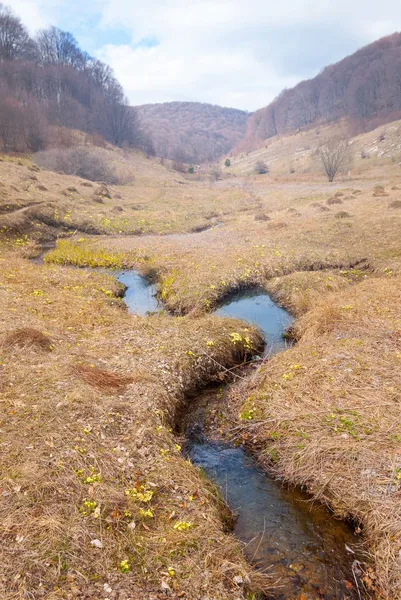 Μικρό ποτάμι, σε μια κοιλάδα του βουνού — Φωτογραφία Αρχείου
