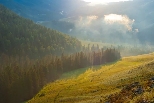 Гірська долина на заході сонця — стокове фото