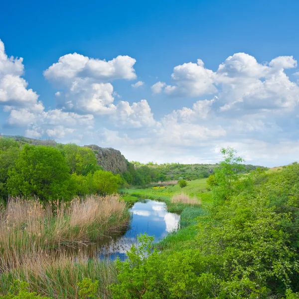 緑のフィールドの間で青い川 — ストック写真