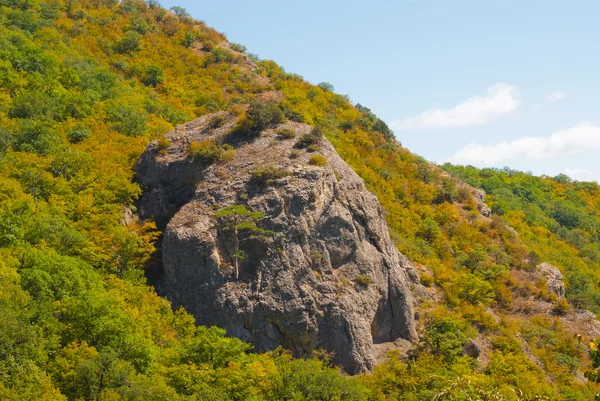 Rock yamaç — Stok fotoğraf