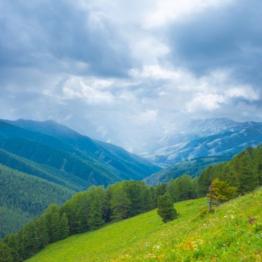 Yeşil dağlar sahne