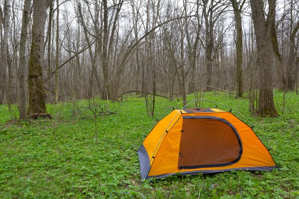 Orange turistiska tält i en skog — Stockfoto