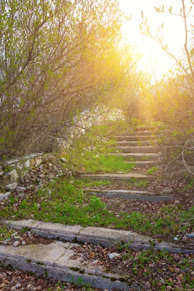 Escadaria a um sol — Fotografia de Stock