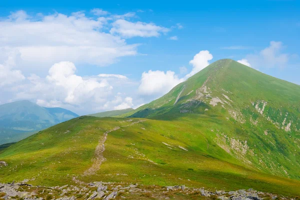 Zomer goverla mount — Stockfoto