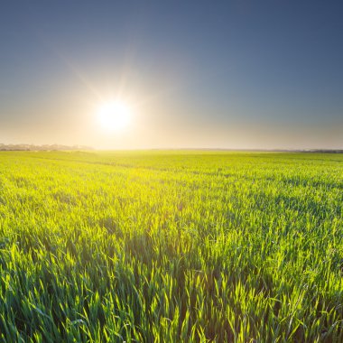 Quet landelijke scène