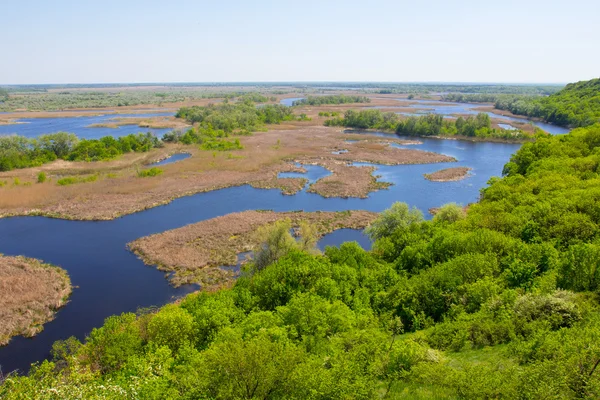 Delta of vorskla river — Stock Photo, Image