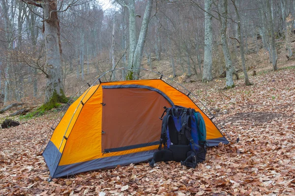 Оранжевый туристический шатер в лесу — стоковое фото