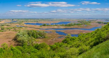 Vorskla Nehri Panoraması