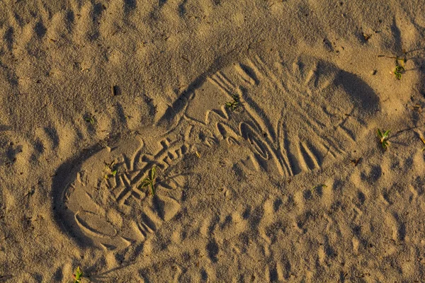 Trilha humana em uma areia — Fotografia de Stock