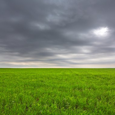 Kara bulutlar altında yeşil alan