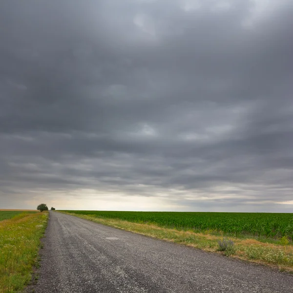Asfaltová silnice pod husté mraky — Stock fotografie