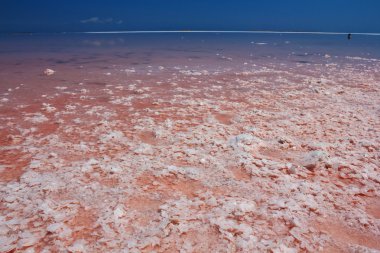 sivash deniz Ukrayna