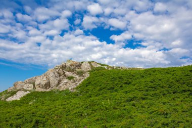 Yeşil Yaz dağ sahne