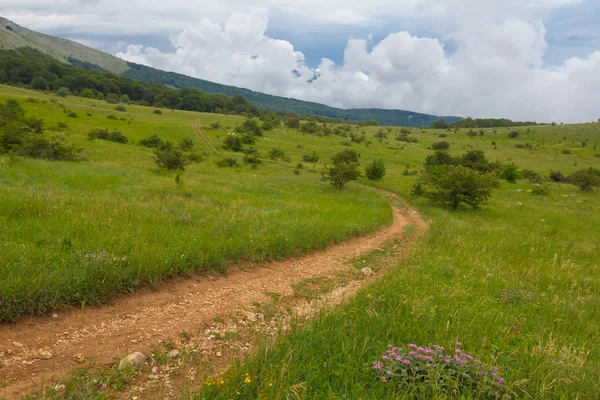 Route entre des collines verdoyantes — Photo