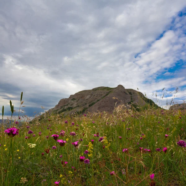 Green field in a mountain valley — Stock Photo, Image