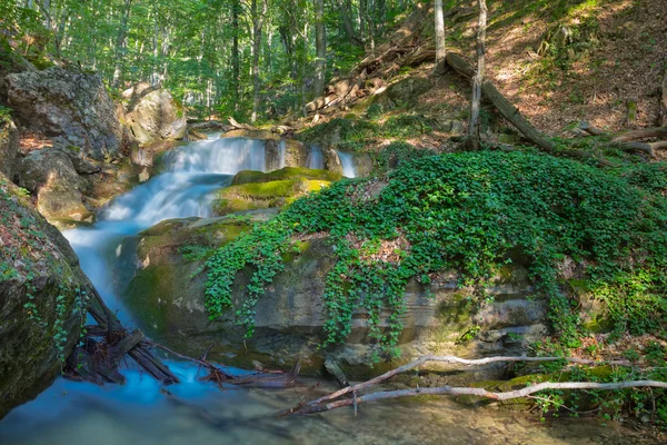 Cascadas de agua en un río de montaña — Foto de Stock