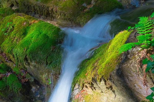 Closeup cascata de água — Fotografia de Stock