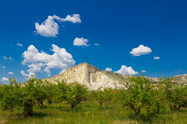 Vit rock Krim Ukraina — Stockfoto