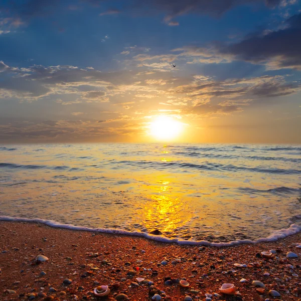 Schöner Sonnenuntergang auf einem ruhigen Meer — Stockfoto