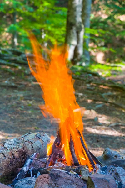 Primer plano pequeño fuego — Foto de Stock
