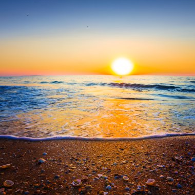 Beautiful sunset over a sea coast clipart