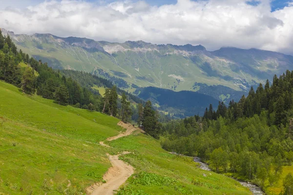 Verde colline scena — Foto Stock