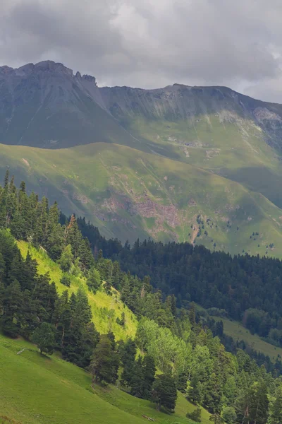 Montanhas verdes sob nuvens densas — Fotografia de Stock