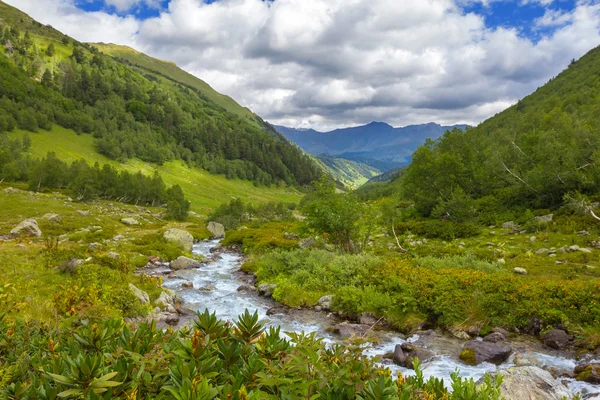 Fiume valle di montagna — Foto Stock