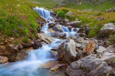 Taşlar arasında çayı
