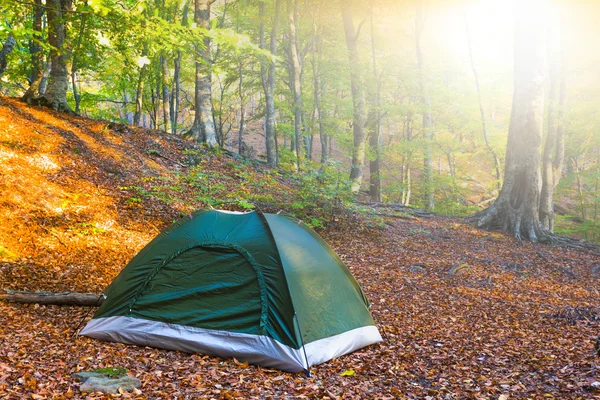 Зеленая туристическая палатка в осеннем лесу — стоковое фото