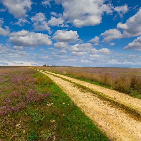 Ground road among a steppe — Stock Photo, Image