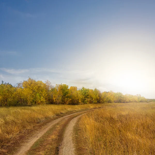 Autumn steppe road — Stock Photo, Image