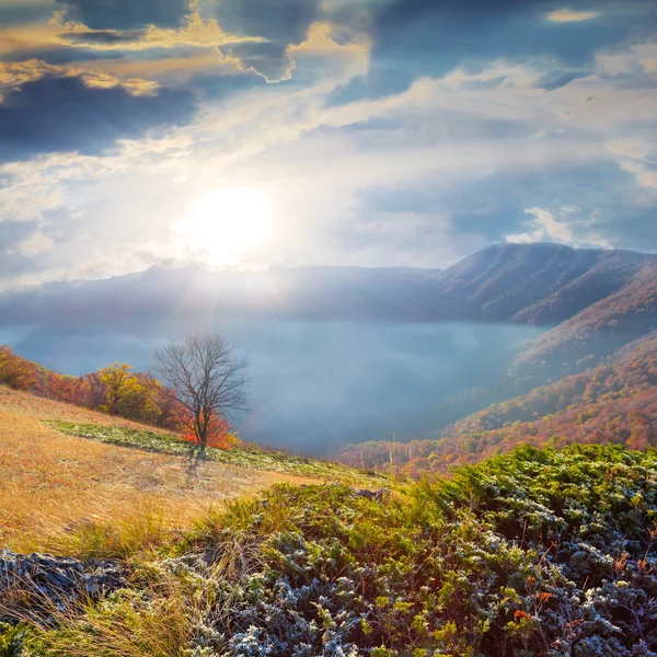 Early morning over a mountain valley — Stock Photo, Image