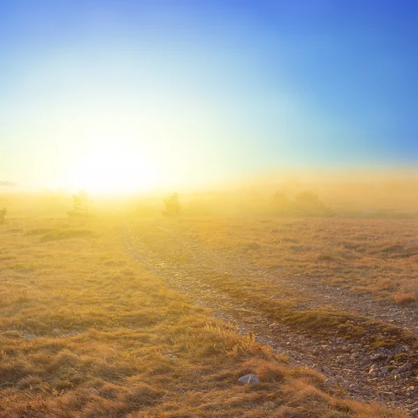 Bleke zon boven een prairie — Stockfoto
