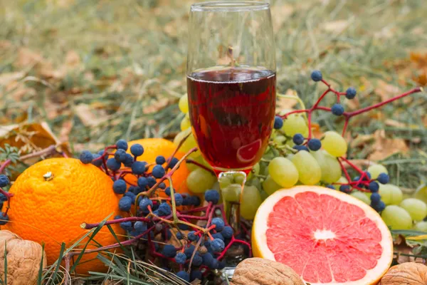 Verre de vin rouge parmi les fruits dans l'herbe — Photo