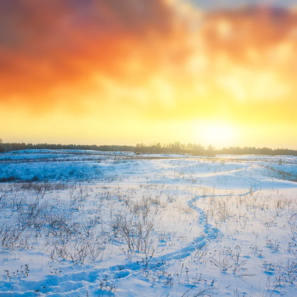 Zachód słońca zimą nad stepu — Zdjęcie stockowe